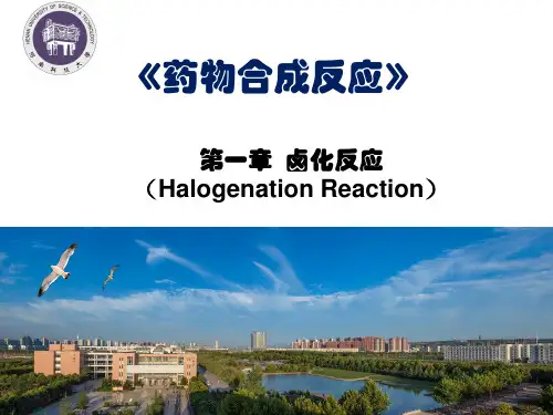 药物合成反应-2卤化反应