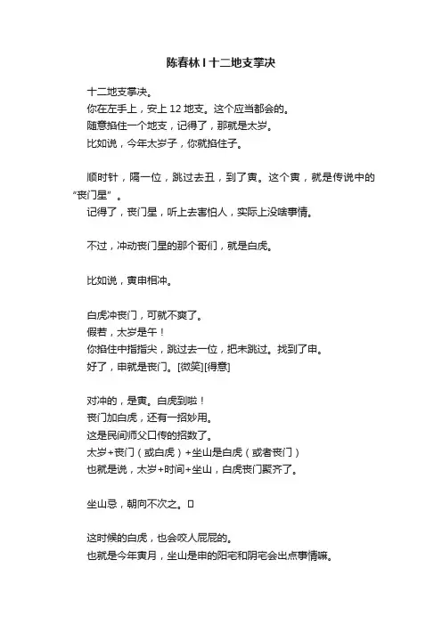 陈春林l十二地支掌决