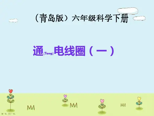 六年级科学下册《通电线圈一》ppt青岛版