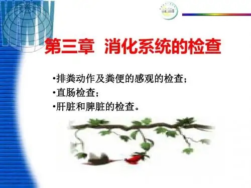 17消化系统检查第四讲-PPT文档资料