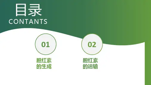肝的代谢功能—胆色素代谢(正常人体机能课件)