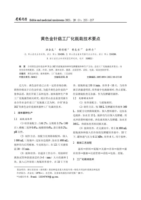 黄色金针菇工厂化瓶栽技术要点