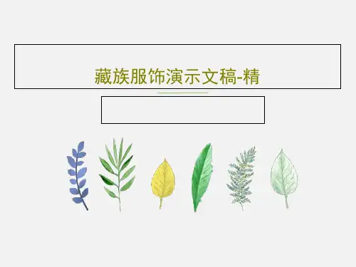 藏族服饰演示文稿-精18页PPT