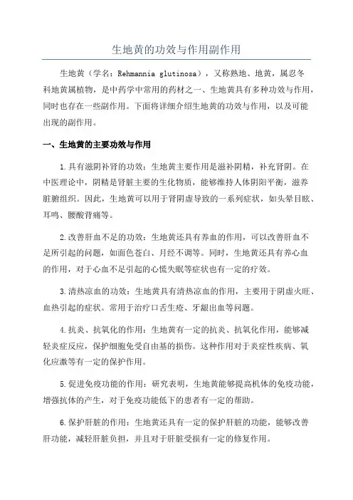 生地黄的功效与作用副作用