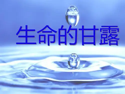 六年级上册美术第九课生命的甘露湘美版 (14)
