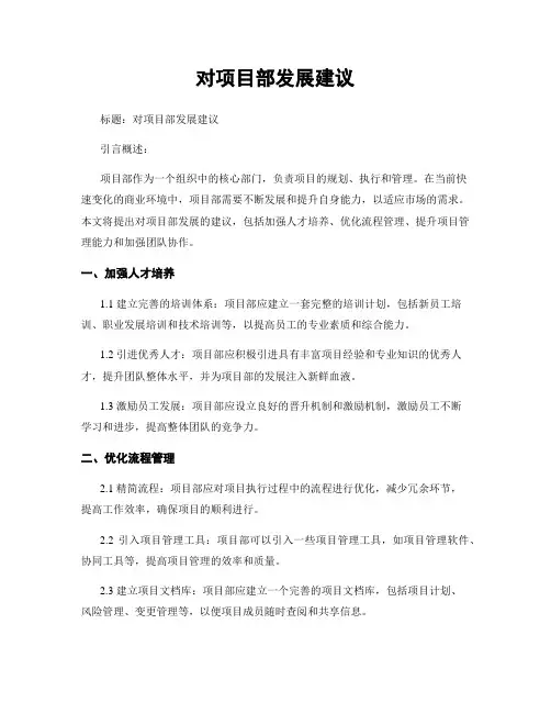 对项目部发展建议
