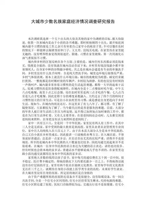 大城市少数名族家庭经济情况调查研究报告
