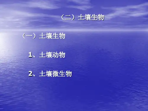 土壤微生物