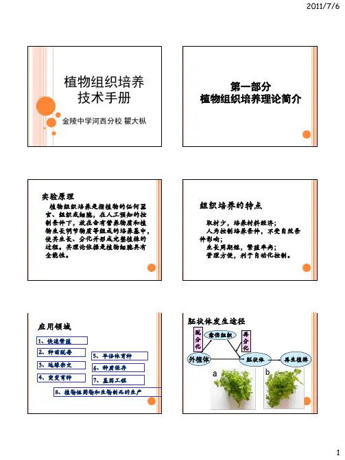 植物组织培养技术手册