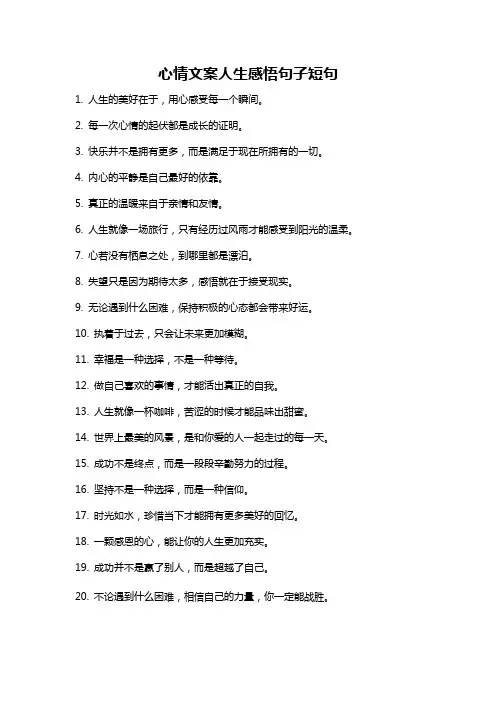 心情文案人生感悟句子短句