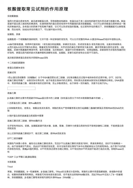 核酸提取常见试剂的作用原理
