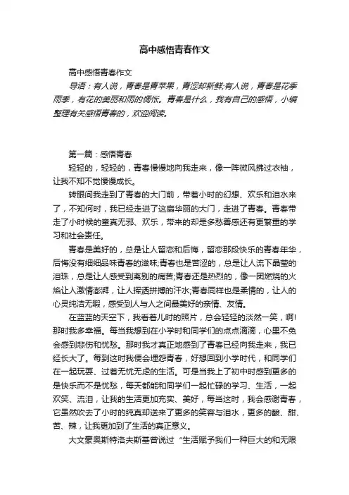 高中感悟青春作文