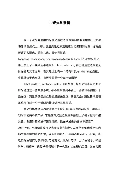 共聚焦显微镜