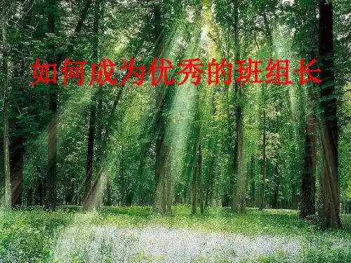 杰出班组长培训ppt课件