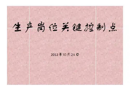 生产岗位关键控制点
