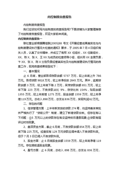 内控制度自查报告