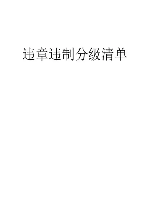 违章违制分级清单