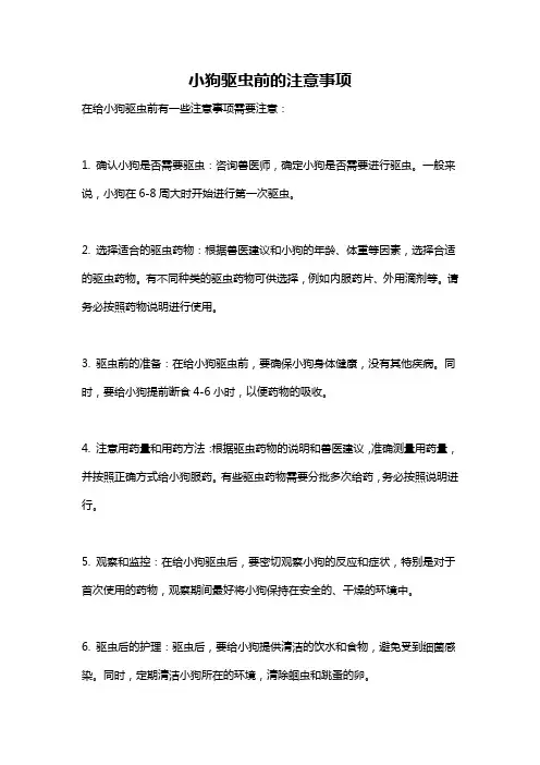 小狗驱虫前的注意事项