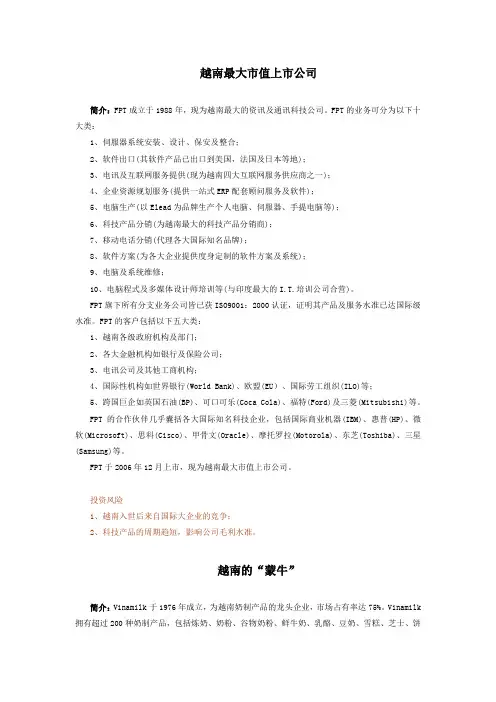 越南最大市值上市公司