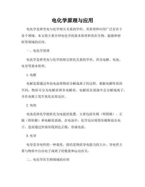 电化学原理与应用