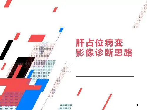 肝占位病变影像诊断思路