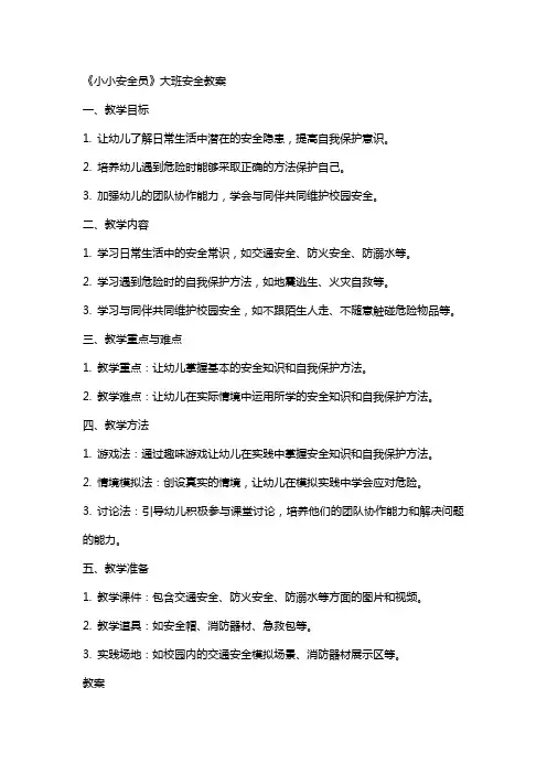 《小小安全员》大班安全教案