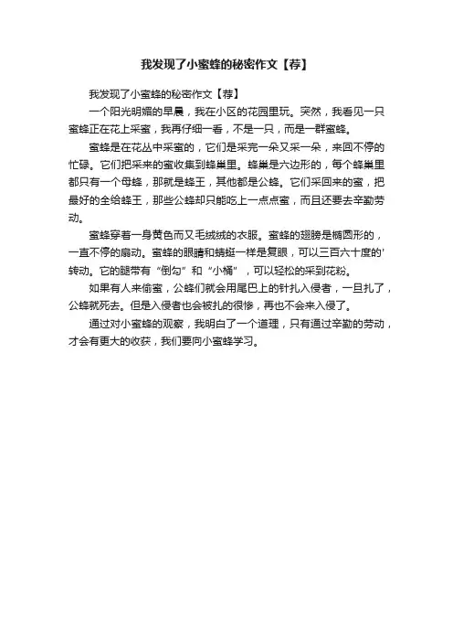我发现了小蜜蜂的秘密作文【荐】