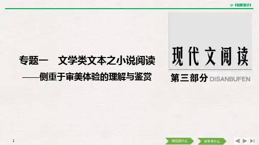 专题一 文学类文本之小说阅读.pptx