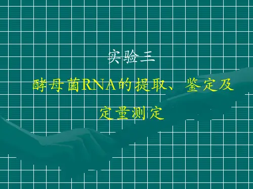 实验三   酵母核糖核酸(RNA)的提取[1]