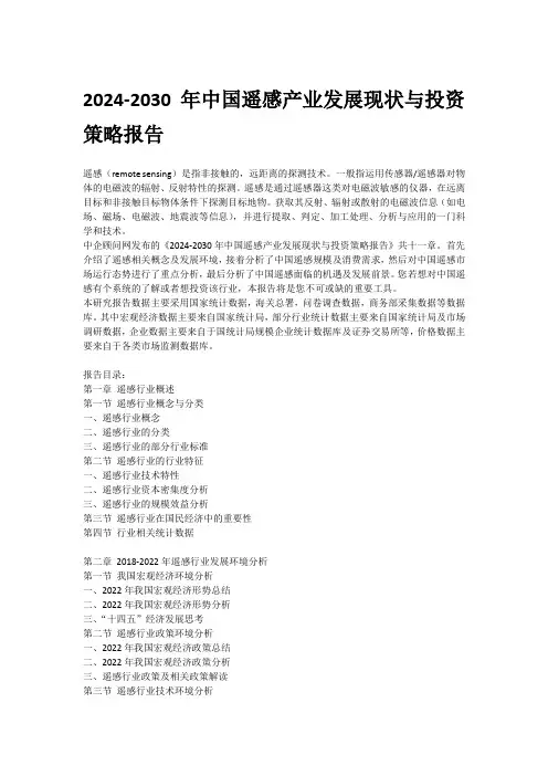 2024-2030年中国遥感产业发展现状与投资策略报告