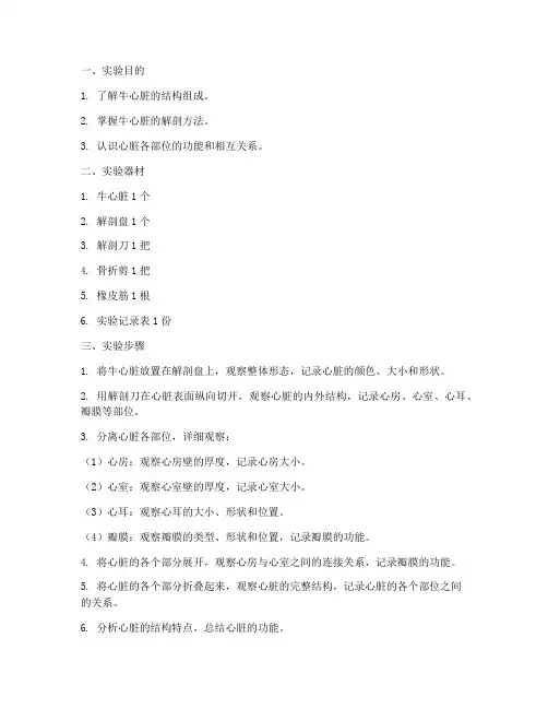 牛心脏解剖实验报告