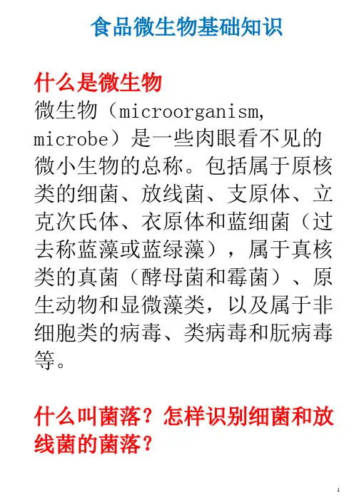 食品微生物基础知识,食品微生物学