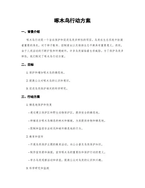 啄木鸟行动方案