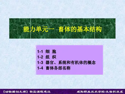 能力单元一 畜体的基本结构