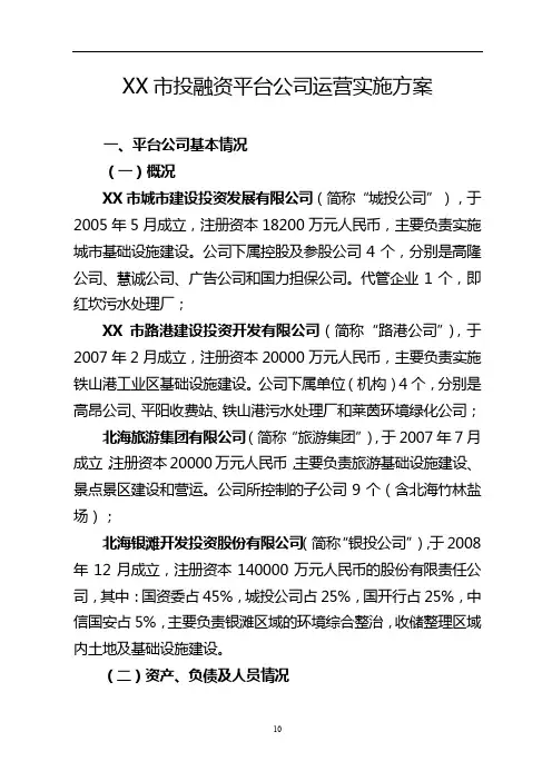 XX市投融资平台公司运营实施方案【模板】