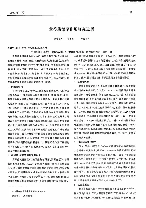 黄芩药理学作用研究进展