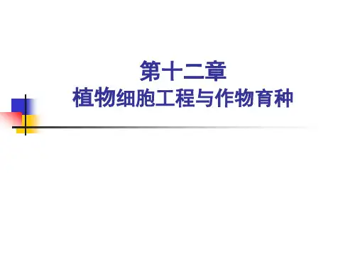 育种课件第12章 植物细胞工程与育种