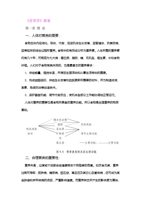 营养学教案 