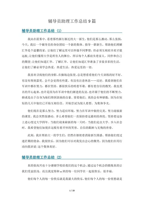 辅导员助理工作总结9篇