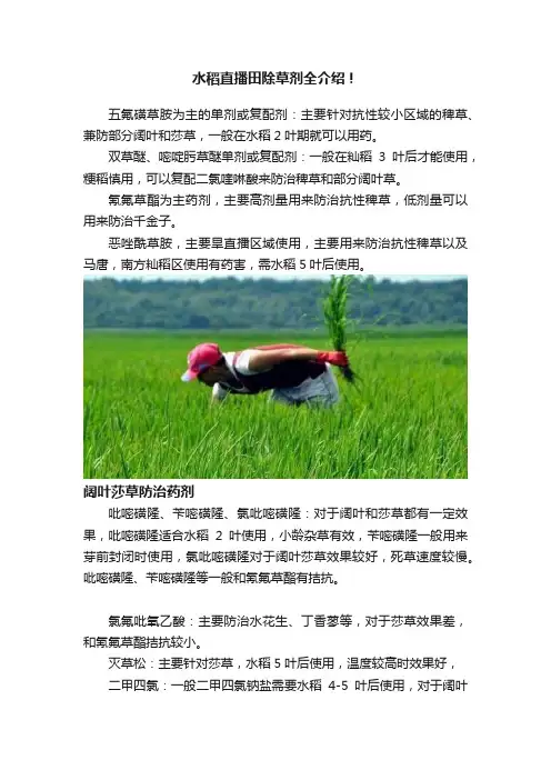 水稻直播田除草剂全介绍！