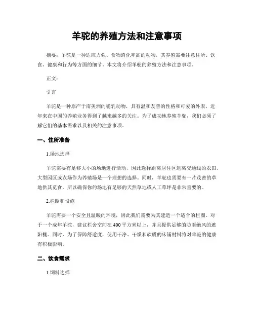 羊驼的养殖方法和注意事项