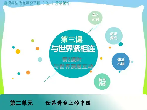 第2课时 与世界深度互动.pptx