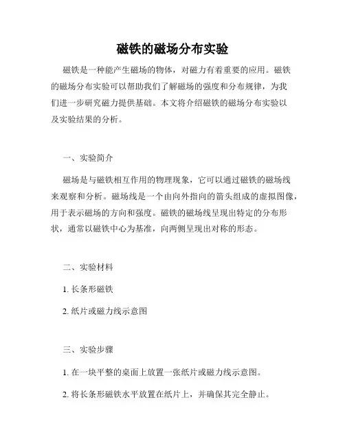 磁铁的磁场分布实验