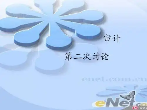 审计二次讨论