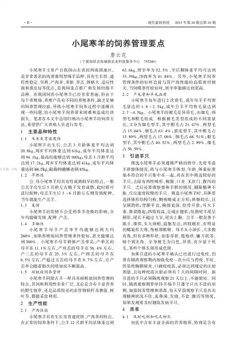 小尾寒羊的饲养管理要点