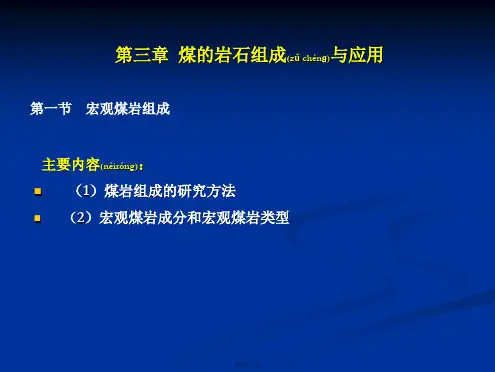 第三章煤的岩石组成