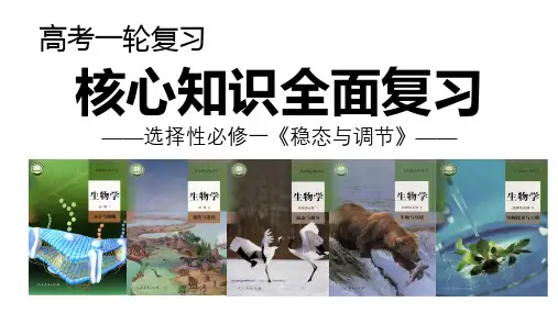 内环境与稳态-2023年高考生物一轮复习