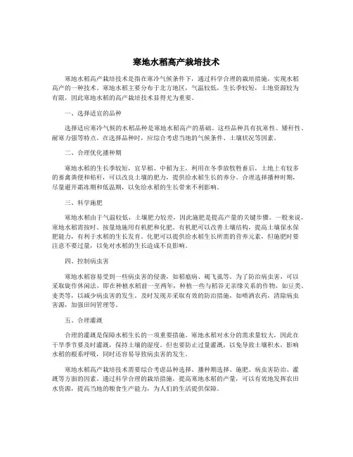 寒地水稻高产栽培技术