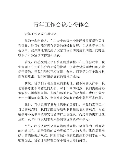 青年工作会议心得体会