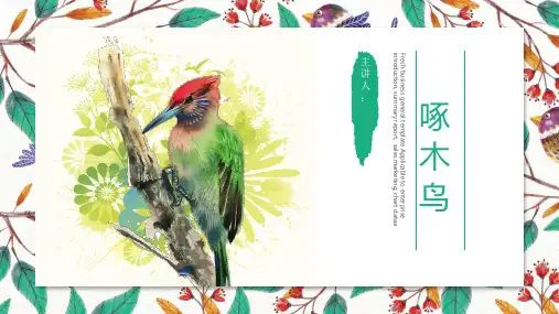 精品课件啄木鸟介绍ppt
